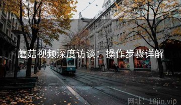 蘑菇视频深度访谈：操作步骤详解