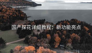 国产探花详细教程：新功能亮点