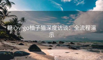糖心vIgo柚子猫深度访谈：全流程演示