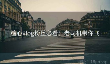 糖心vlog粉丝必看：老司机带你飞
