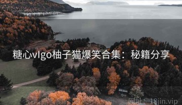 糖心vIgo柚子猫爆笑合集：秘籍分享