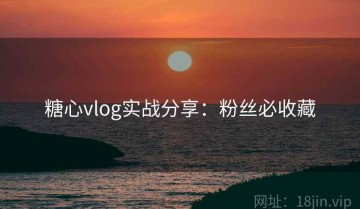 糖心vlog实战分享：粉丝必收藏
