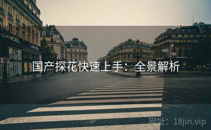 国产探花快速上手：全景解析