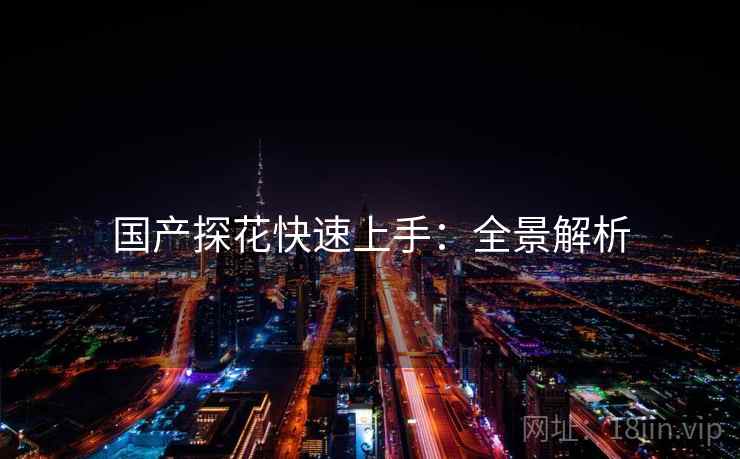 国产探花快速上手：全景解析
