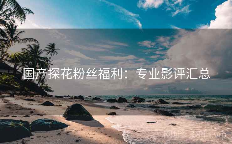 国产探花粉丝福利：专业影评汇总