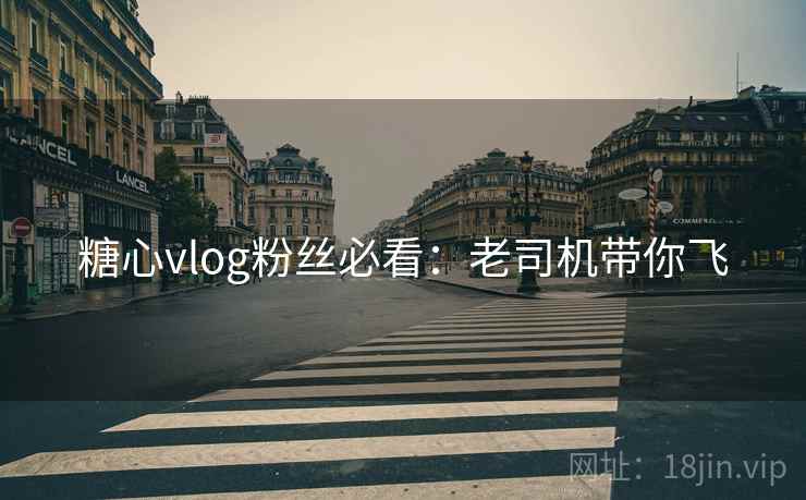 糖心vlog粉丝必看：老司机带你飞