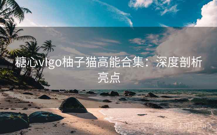 糖心vIgo柚子猫高能合集：深度剖析亮点